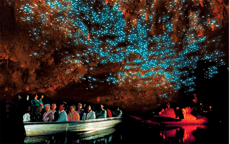 Cavernas luminosas de Waitomo